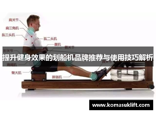 提升健身效果的划船机品牌推荐与使用技巧解析